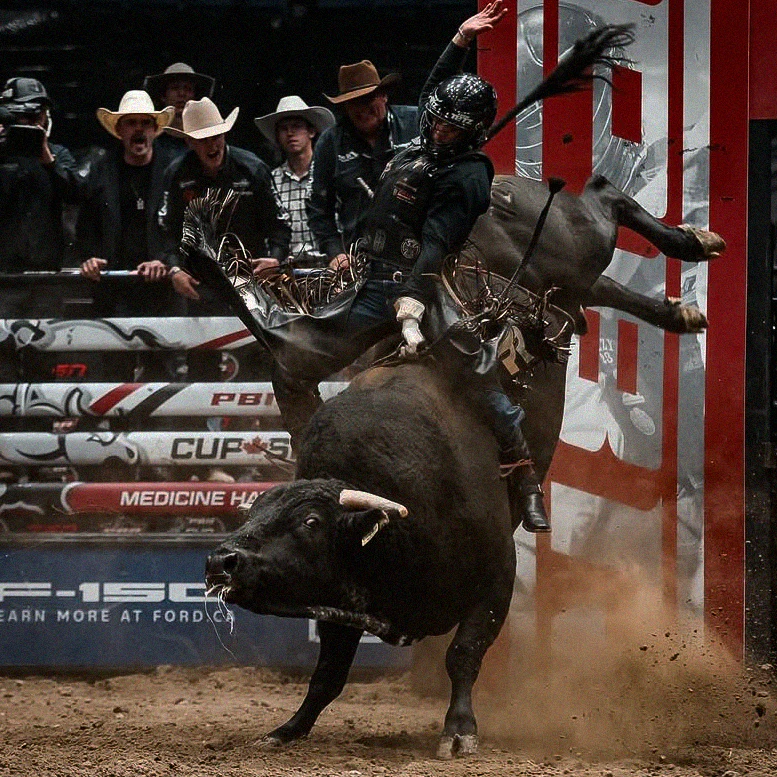 ICON - PBR - Image 5