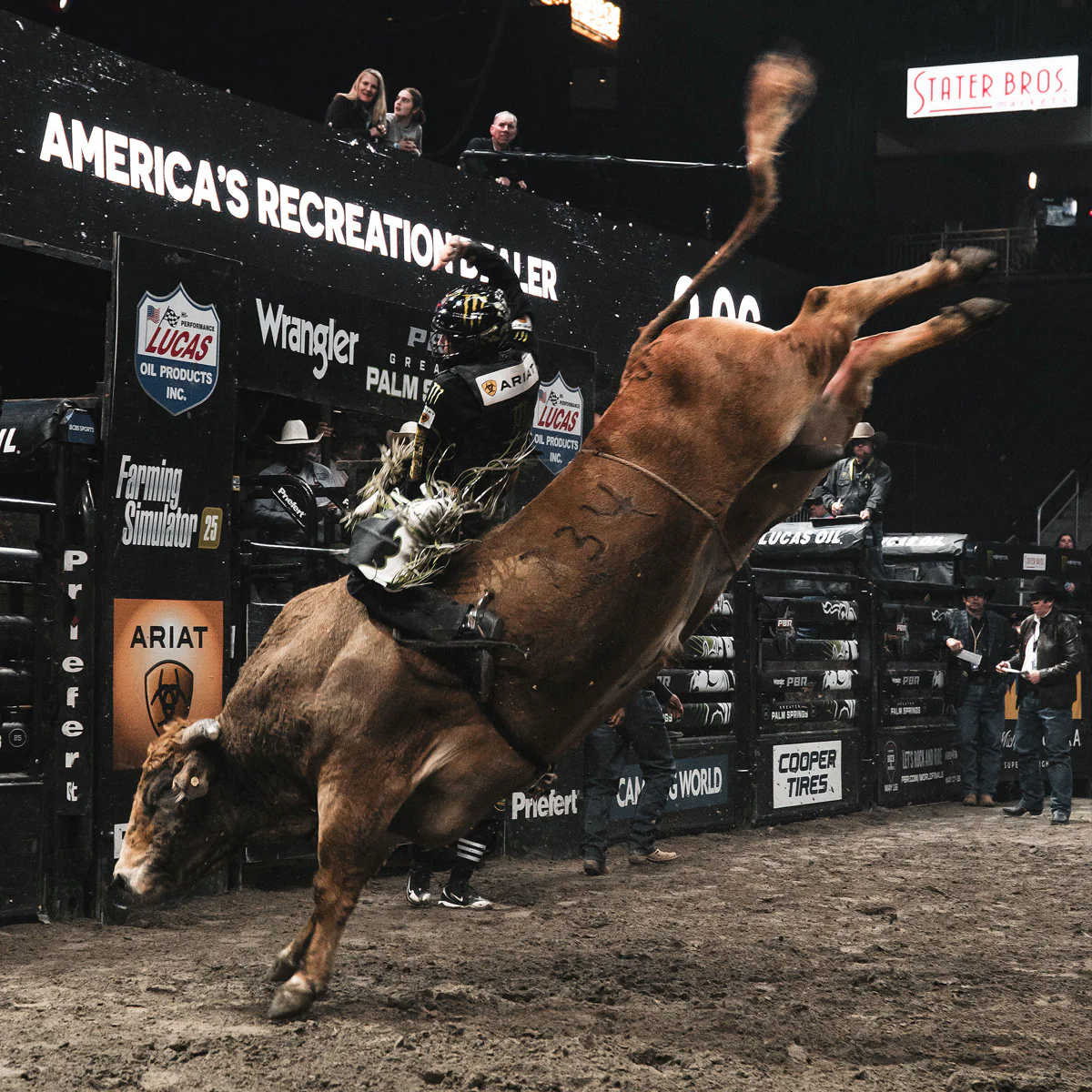 ICON - PBR - Image 8